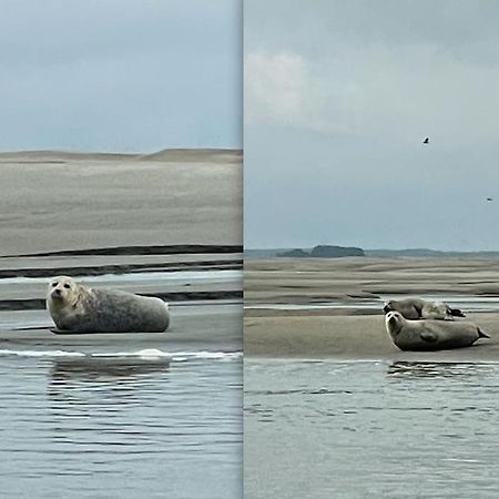 Apartmán En Plein Coeur Du Crotoy, Un Pied A Terre En Baie Le Crotoy Exteriér fotografie