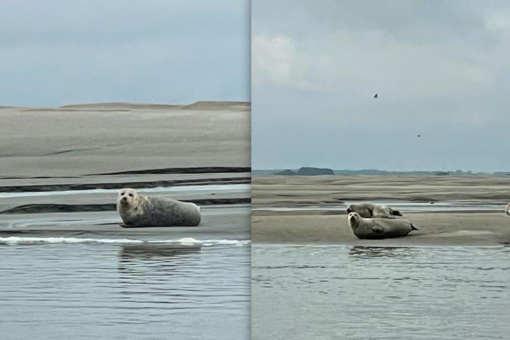 Apartmán En Plein Coeur Du Crotoy, Un Pied A Terre En Baie Le Crotoy Exteriér fotografie
