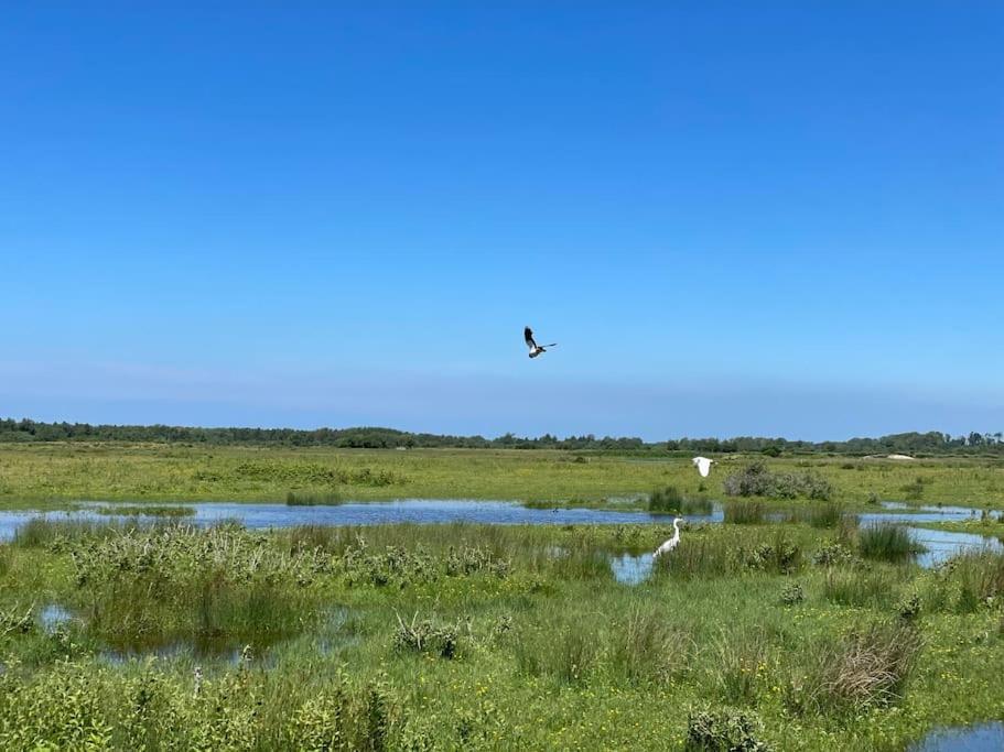 Apartmán En Plein Coeur Du Crotoy, Un Pied A Terre En Baie Le Crotoy Exteriér fotografie